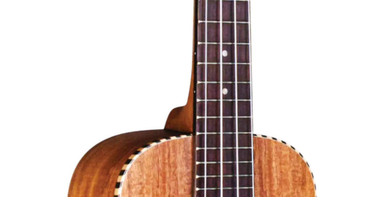 25C - Cordoba Guitars